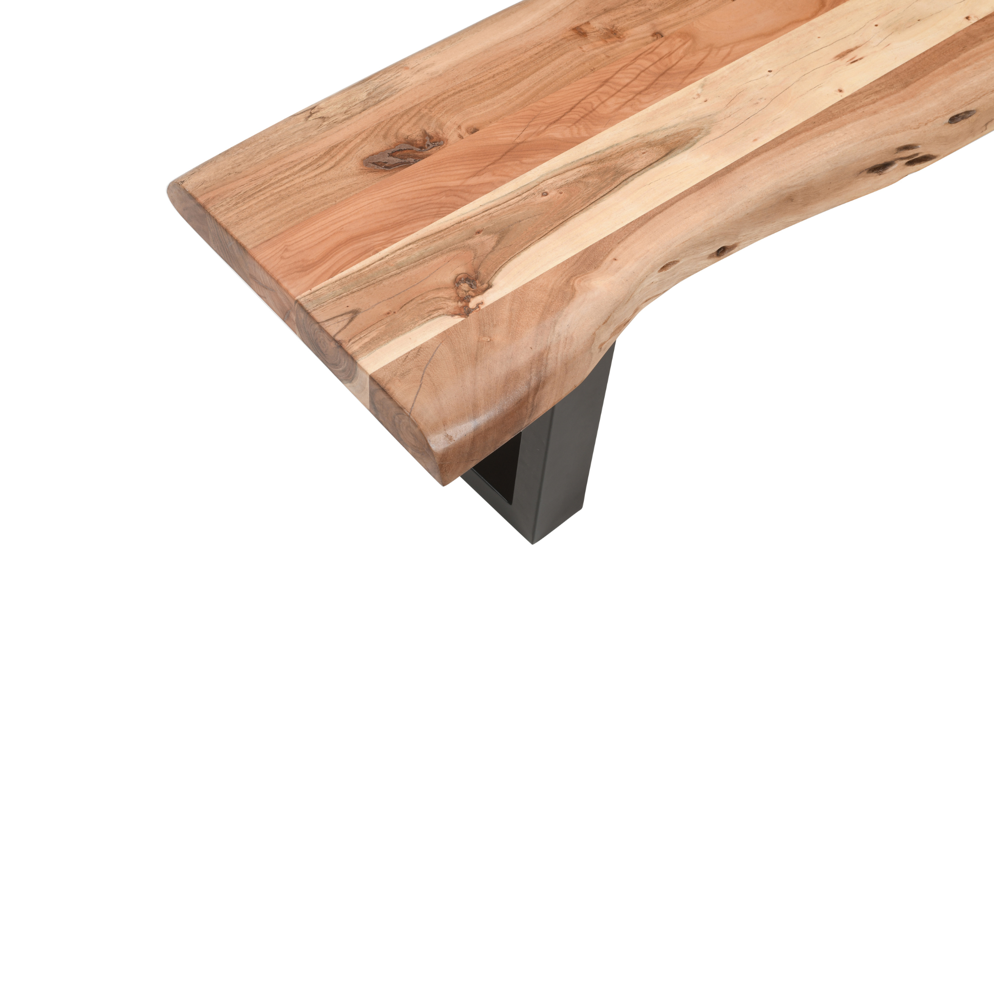 Bench |Live Edge | Acacia Wood | U Metal Legs | Light Brown Color