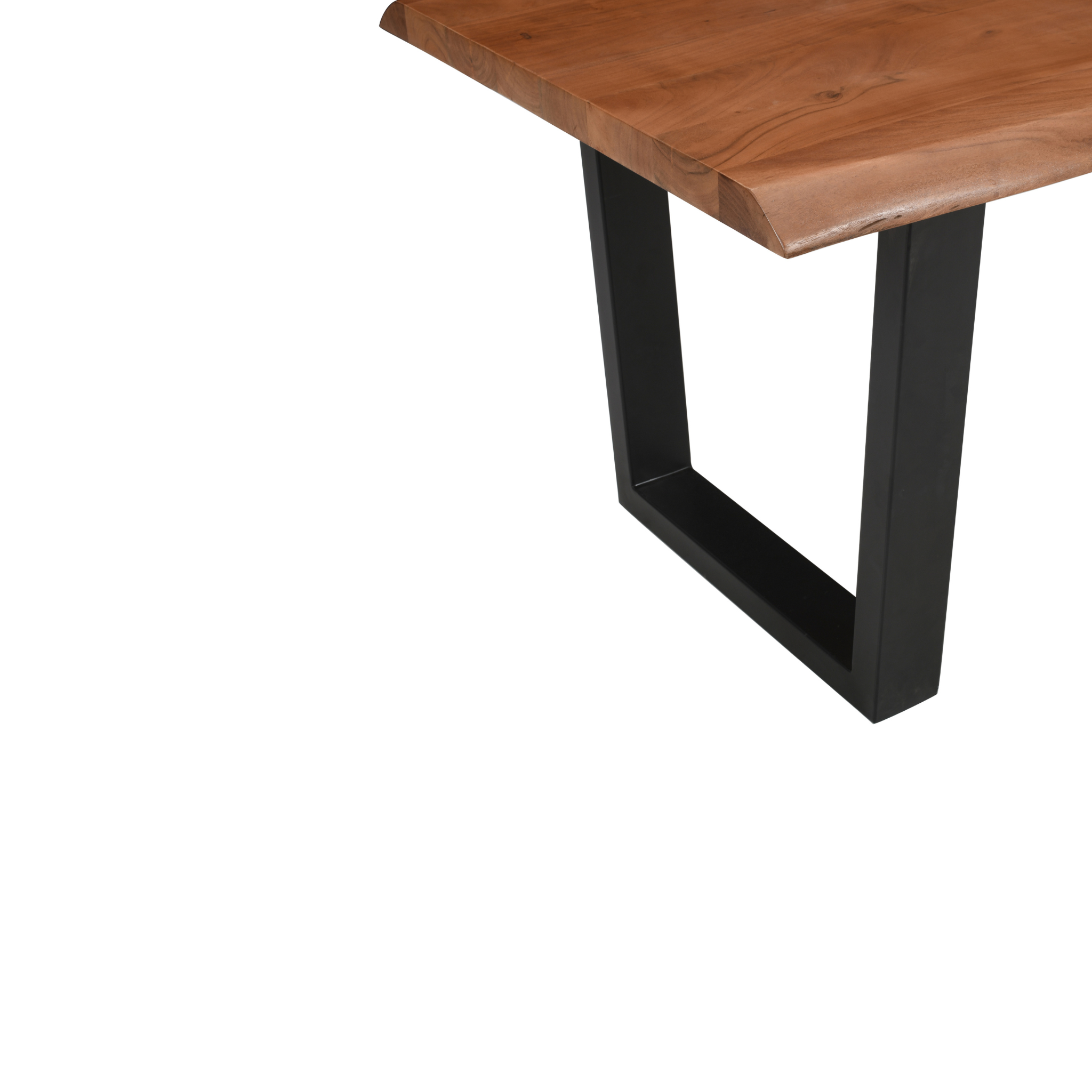 Live Edge Acacia Dining table | U Metal Legs | Natural Brown Color