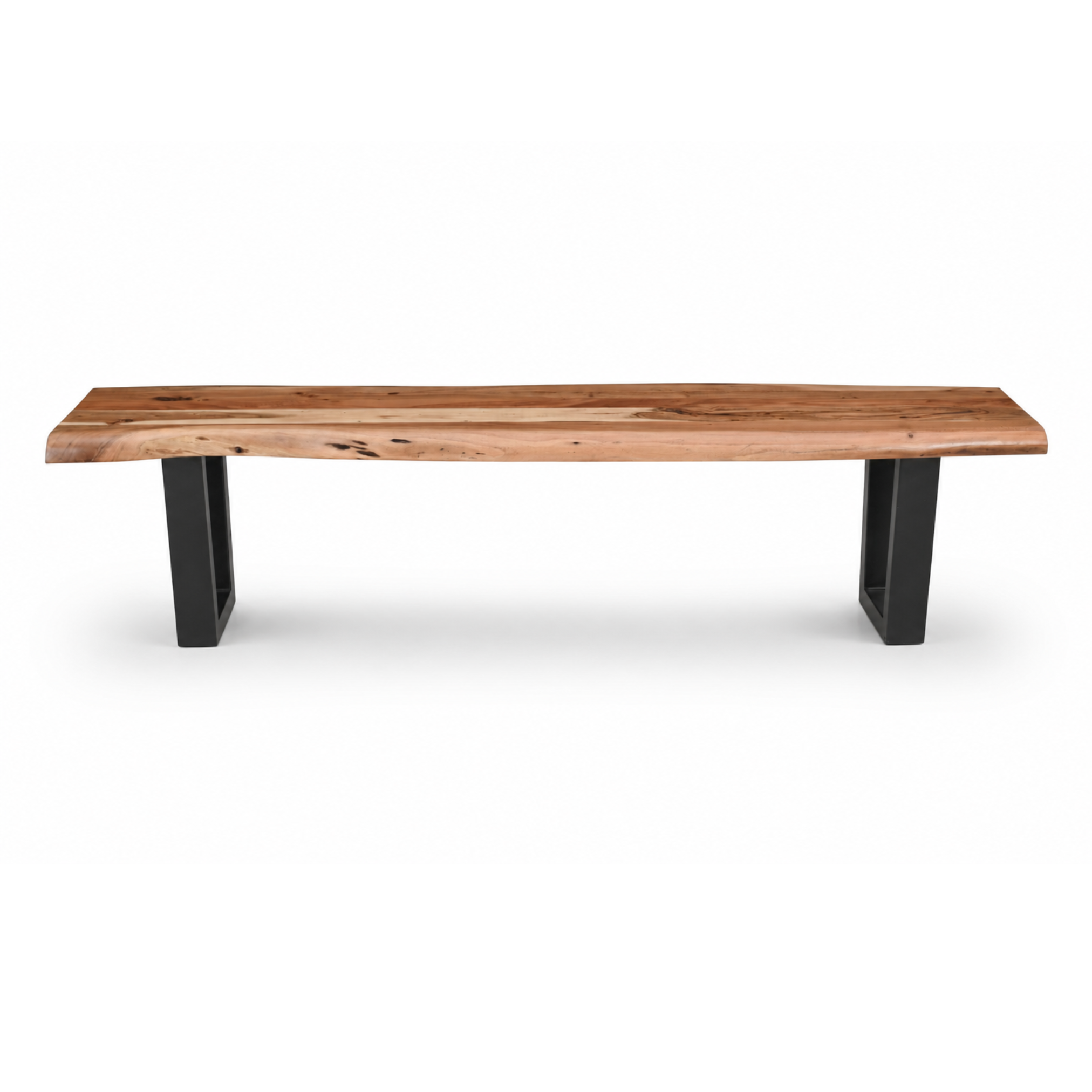 Dune U Legs live edge acacia wood bench in light brown finish with black metal U legs front view